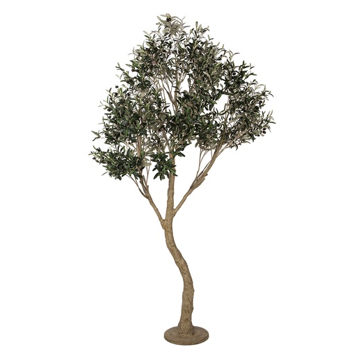 Arbre d'olivier décoration Vert Beige 140x130x250 cm
