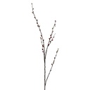 Rami Artificiali Decorativi Marrone 107 cm