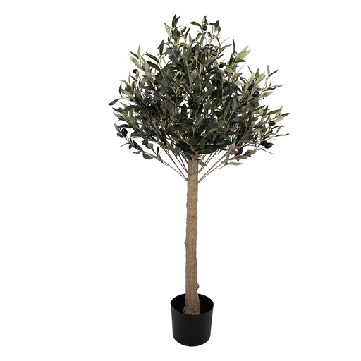 Albero di Ulivo decorazione Verde Marrone 45x45x120 cm