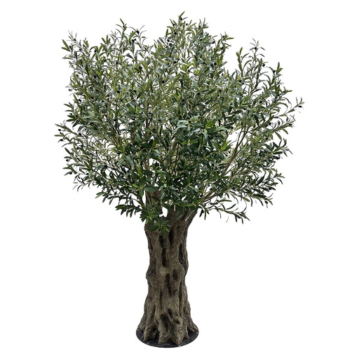 Arbre d'olivier décoration Vert Marron 240 cm