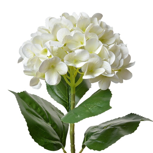 Artificial Flower Beige Green 16x15x68 cm