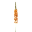 Decorazione ramo con fiori Arancio Verde