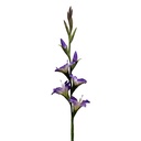 Dekorativer Zweig mit Blumen Violett Grün 92 cm