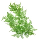 Decorative Artificial Branch Green 10x5x80 cm