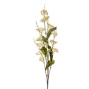 Rami Artificiali Decorativi con fiori Beige Verde 8x6x80 cm