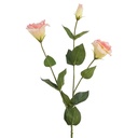 Branche de décoration avec fleurs Rose Vert 72 cm