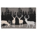 Deurmat 75x45x1 cm