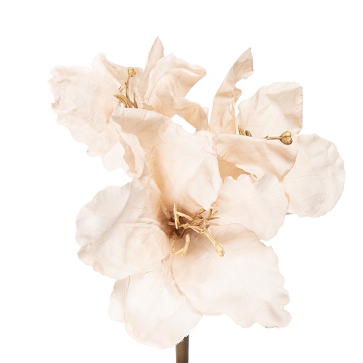 Artificial Flower Beige Brown 16x16x65 cm