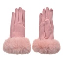 Winter Gloves Pink 9x24 cm