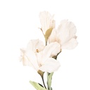 Branche de décoration avec fleurs Beige Vert 10x18x85 cm