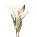 Branche de décoration avec fleurs Beige Vert 12x16x88 cm