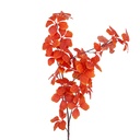 Rami Artificiali Decorativi Arancio Marrone 80 cm