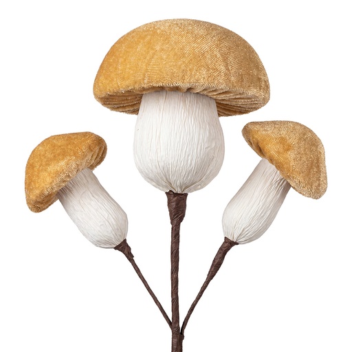 Dekoration Pilz Beige  4x4x52 cm