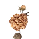 Decorative Artificial Branch with flowers Brown Green 14x17x73 cm