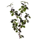 Decoratie tak 72 cm