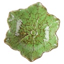 Dekorative Schale Blume Grün Braun Ø 18x5 cm