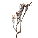 Deko Ast Braun Beige 30x4x85 cm