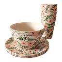 Servies setje picknick (12)