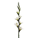 Branche décorative avec fleurs Blanc Vert 92 cm