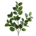 Rami Artificiali Decorativi Verde 90 cm