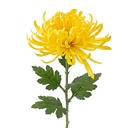 Branche décorative avec fleurs Jaune Vert 76 cm